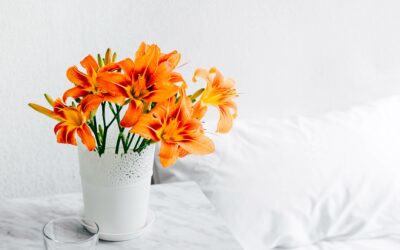 8 chiffres clefs à retenir autour de la mise en place d&rsquo;un ITSM Agile