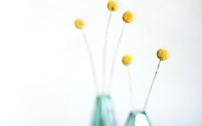 Guide d’achat pour une gestion complète des accès privilégiés (PAM)